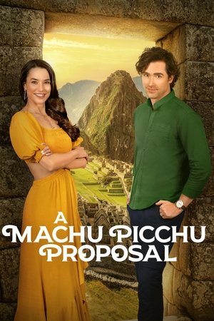 A Machu Picchu Proposal (2025) Hindi (MULTI AUDIO) – – HD Poster Download - filmyfly
