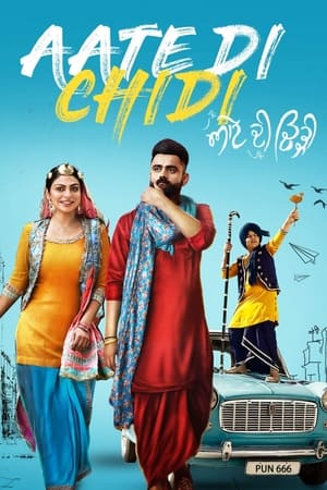 Aate di chidi (2018) Punjabi Movie [1GB] HD Poster Download - filmyfly