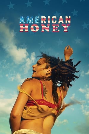American Honey (2016) Hindi Dual Audio 500MB HD Poster Download - filmyfly