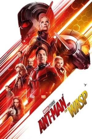 Ant-Man and the Wasp 2018 Movie (English) [900MB] HD Poster Download - filmyfly