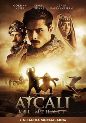 Atçali Kel Mehmet (2017) Hindi Dual Audio HDTVRip [1GB] HD Poster Download - filmyfly