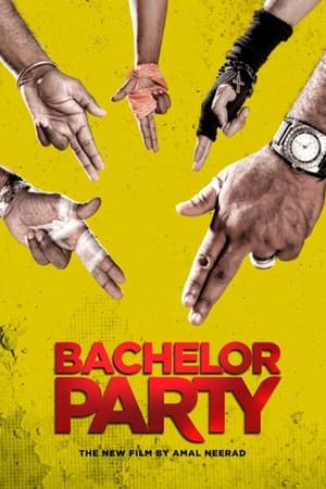 Bachelor Party (2012) (Hindi – Malayalam) Dual Audio 400MB HD Poster Download - filmyfly