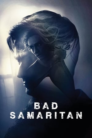 Bad Samaritan (2018) Hindi Dual Audio 400MB HD Poster Download - filmyfly