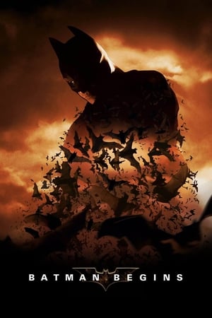 Batman Begins (2005) Hindi Dual Audio [980MB] Download HD Poster Download - filmyfly