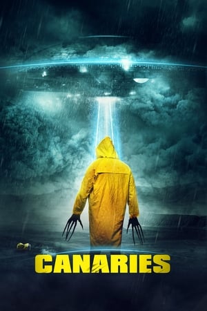 Canaries (2017) Hindi Dual Audio 300MB HD Poster Download - filmyfly