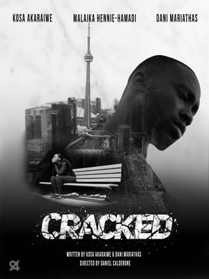 Cracked (2022) Hindi Dual Audio – HD Poster Download - filmyfly