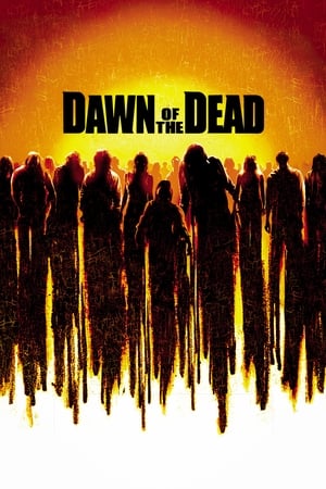 Dawn of the Dead (2004) Hindi Dual Audio 400MB HD Poster Download - filmyfly