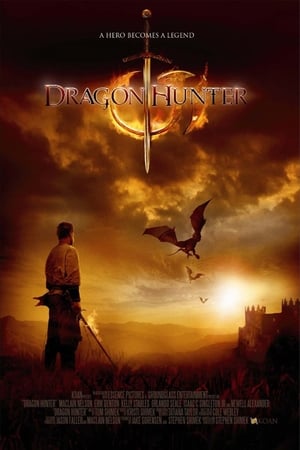 Dragon Hunter (2009) Hindi Dual Audio [1GB] HD Poster Download - filmyfly