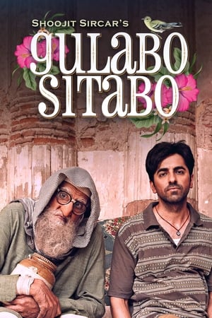 Gulabo Sitabo 2020 Hindi Movie [980MB] HD Poster Download - filmyfly