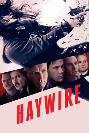 Haywire (2011) Hindi Dual Audio 300MB HD Poster Download - filmyfly