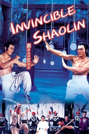 Invincible Shaolin 1978 Hindi Dual Audio [1.3GB] HD Poster Download - filmyfly