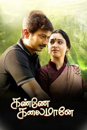 Kanne Kalaimaane 2019 (Hindi -Tamil) Dual Audio [1GB] HD Poster Download - filmyfly
