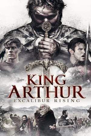 King Arthur: Excalibur Rising 2017 Hindi Dual Audio – HD Poster Download - filmyfly