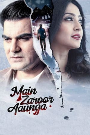 Main Zaroor Aaunga 2019 Hindi Movie [670MB] HD Poster Download - filmyfly