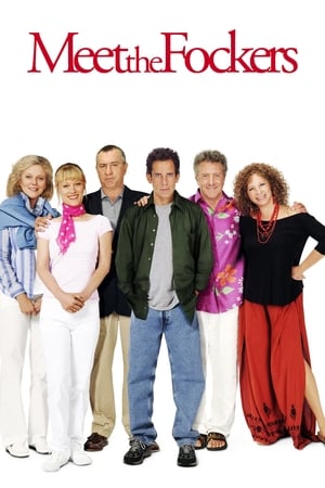 Meet the Fockers (2004) Hindi Dual Audio 380MB HD Poster Download - filmyfly