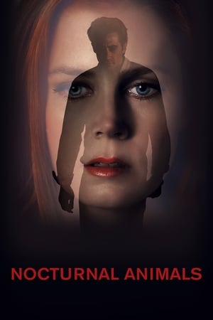 Nocturnal Animals (2016) Hindi Dual Audio 380MB HD Poster Download - filmyfly