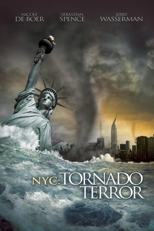 NYC Tornado Terror 2008 Hindi Dual Audio [1.1GB] HD Poster Download - filmyfly