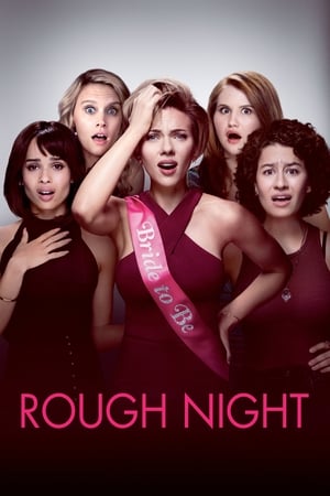 Rough Night (2017) Hindi Dual Audio 400MB HD Poster Download - filmyfly