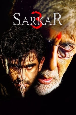 Sarkar 3 2017 Full Movie [700MB] Download HD Poster Download - filmyfly