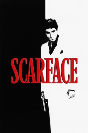 Scarface (1983) Dual Audio Hindi Movie - 1.4GB HD Poster Download - filmyfly