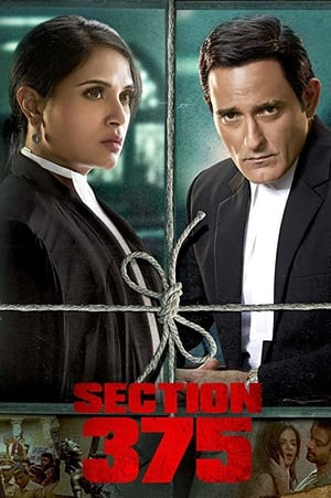 Section 375 (2019) Hindi Movie [980MB] HD Poster Download - filmyfly