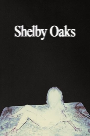 Shelby Oaks (2025) Hindi (MULTI AUDIO) – – HD Poster Download - filmyfly