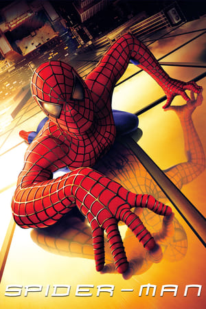 Spider-Man (2002) Hindi Dual Audio 370MB HD Poster Download - filmyfly