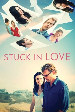 Stuck in Love (2012) Hindi Dual Audio 300MB HD Poster Download - filmyfly