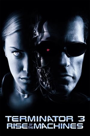 Terminator 3: Rise of the Machines (2003) Hindi Dual Audio 350MB HD Poster Download - filmyfly