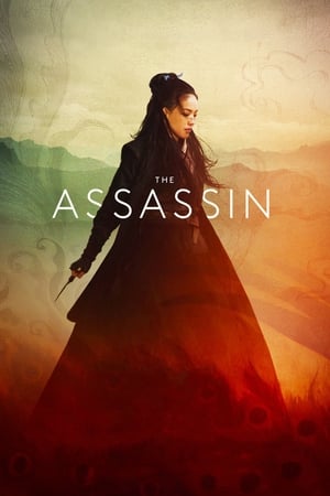 The Assassin 2015 Hindi Dual Audio [1.1GB]