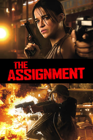 The Assignment (2016) Hindi Dual Audio [850MB] HD Poster Download - filmyfly
