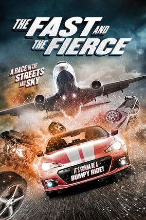 The Fast and the Fierce 2017 Hindi Dual Audio [900MB] HD Poster Download - filmyfly