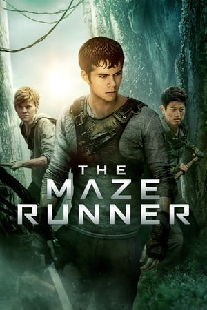 The Maze Runner (2014) Hindi Dual Audio [1.1GB] HD Poster Download - filmyfly