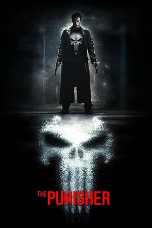The Punisher 2004 Hindi Dual Audio 380MB HD Poster Download - filmyfly
