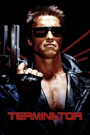 The Terminator (1984) Hindi Dual Audio 380MB HD Poster Download - filmyfly