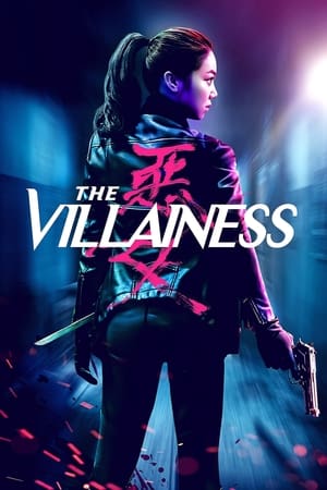 The Villainess (2017) Hindi Dual Audio – HD Poster Download - filmyfly