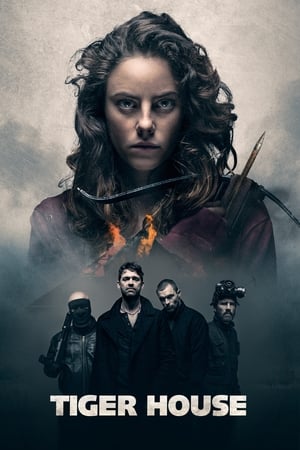 Tiger House (2015) Hindi Dual Audio 300MB HD Poster Download - filmyfly