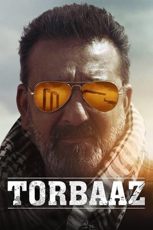 Torbaaz 2020 Hindi Movie [1GB] HD Poster Download - filmyfly