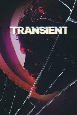 Transient (2025) Hindi (MULTI AUDIO) – –