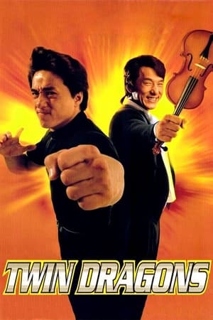 Twin Dragons 1992 [Hindi] Dual Audio 300MB HD Poster Download - filmyfly
