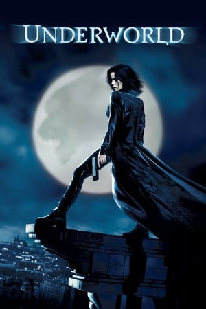 Underworld (2003) 100mb Hindi Dual Audio movie Download HD Poster Download - filmyfly