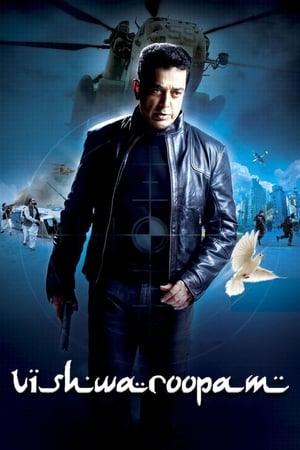 Vishwaroopam (2013) Hindi Dubbed HDTVRip 400MB HD Poster Download - filmyfly